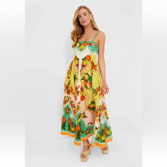 Caroline Constas Dresses & Skirts - Caroline Constas Fruit Maxi Dress